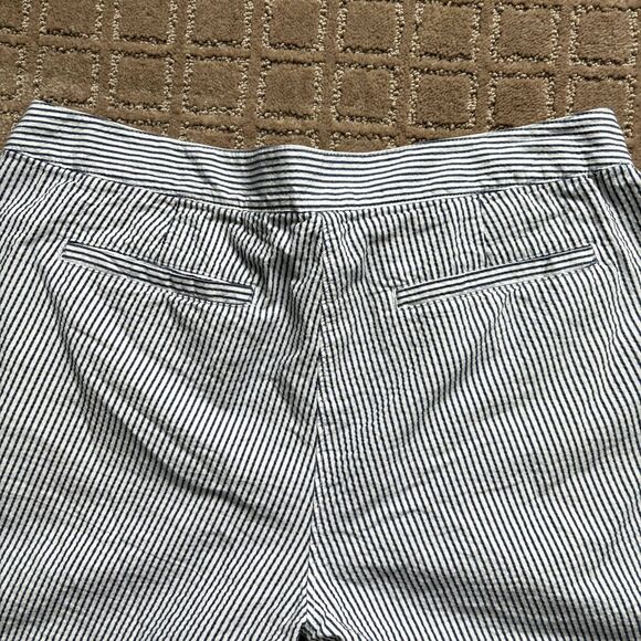 Toad & Co 100% Organic Cotton Seersucker Blue White Striped Shorts Sz 8 Preppy - Picture 6 of 7